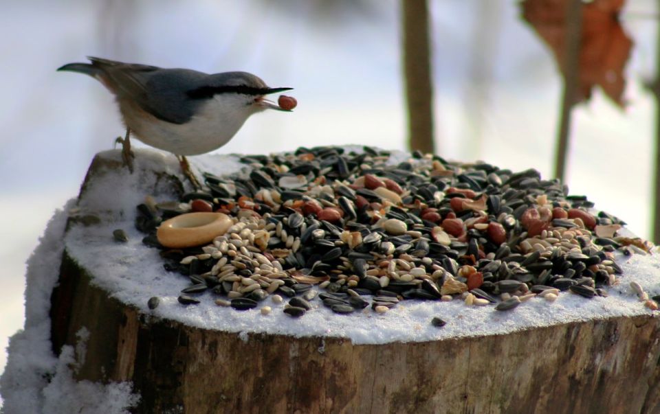 ������� ����, ��� �� �������� ������������� ���� �����