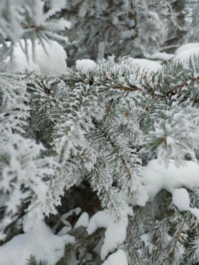 � ������� ������� 6 ������ ��������� ���� � �����