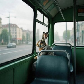 � ������ �� ��� �������� ����� 4 700 ������� �������