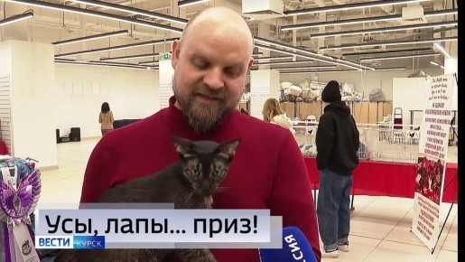 11111 Главные темы выпуска «Вестей Курск» — через несколько минут в нашем эфире: