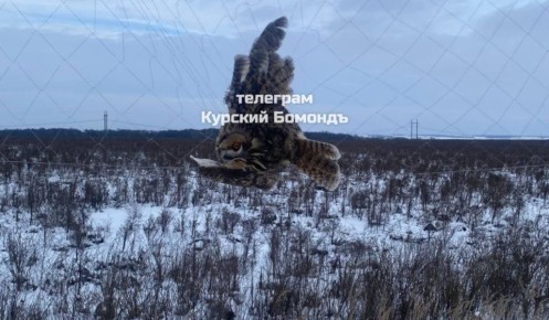 � ������� ������� ����� ������� ��� �� ��������������� �����