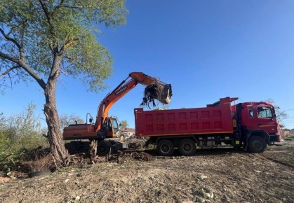 � ����������� ������ ������ �� ��� �� �������������� ��������� ������ 14 ������