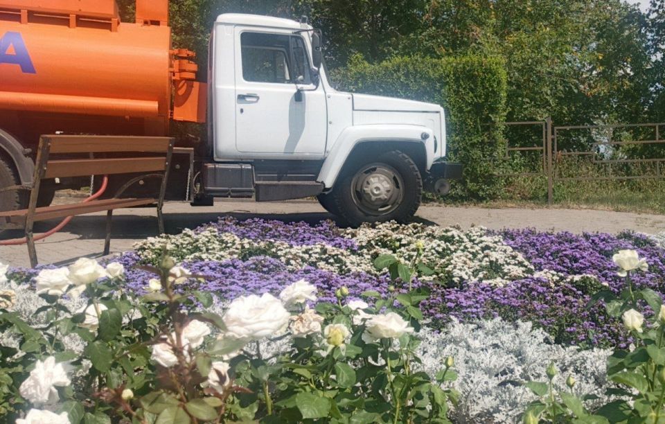 В прошлом году в Курске продолжились работы по озеленению