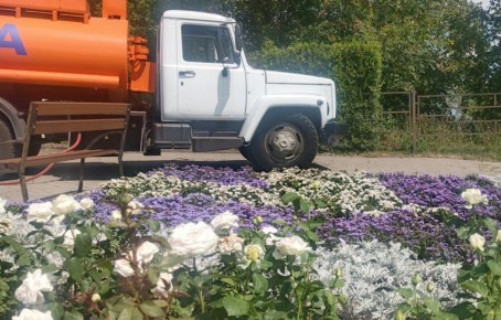 � ������� ���� � ������ ������������ ������ �� ����������