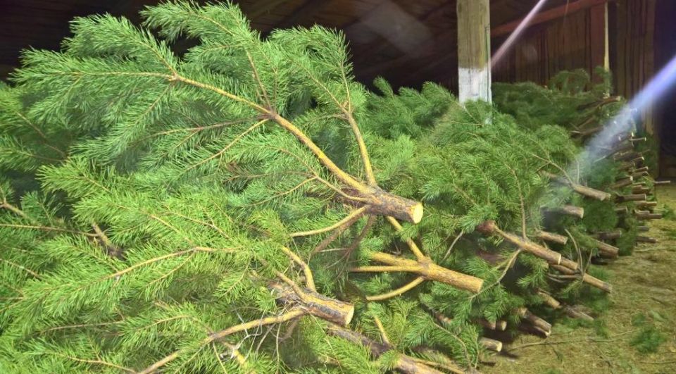 ����������. � 12 ������ 2026 ���� ����� �������� � �.������ �� �������: ��. ������� 46, ��. ��������������� 50�, ��-� ������� 39�, ��-� ������ (�� ��������� 74�) ����� ����������� ���� ���������� ����� ����