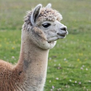 �� ������ ���� �������� ��� � ����������� � ������������� ��������������� ������������� ����� ������ ����� ����