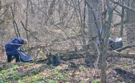 � ������ �� ��� � ����������� ������������� ����� 30 ����� �������