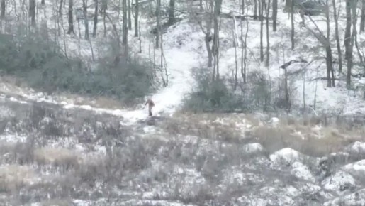 ���������� ������� ���������� ��������� �������� � ����� ������� ���� ��� �� ������� �����������