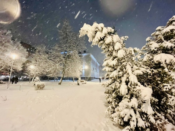 На Курскую область циклон обрушил снегопады