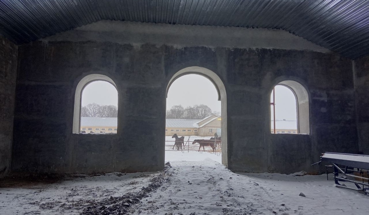 В Курской области отремонтируют старинный конезавод в Касторенском районе