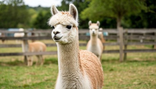 � ������ �� ������ ���� �������� ���� ������