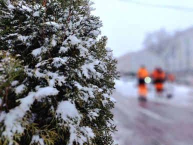 � �������������� ���� � ������� ������� ������������ ������ � �����