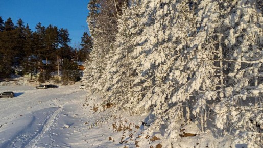 �������� �������� ������� � ������ �� ���������� ��� �������������