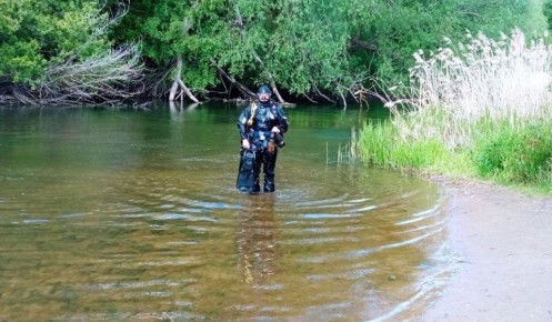 � ������ ����������� ������ ������ � �������� ���������� ������