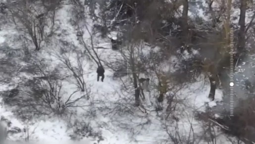 ��������� FPV-������ ��������� ���������� ������ ������ ��� � ������ �. ����������� ������� �������