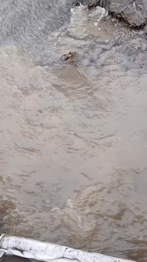 � ������ �������� ����� ���������