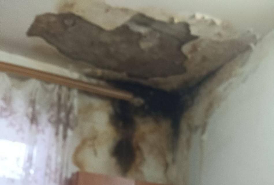 � ������ ������ ������ �� ������� �� ����������� �����