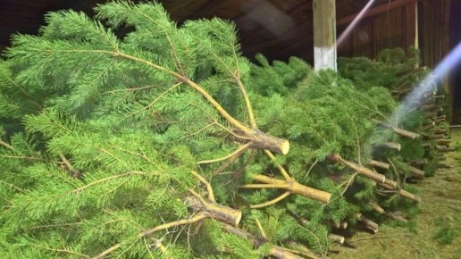 ������ ����� ����� �� ����������� ���������� ���� 18 ������