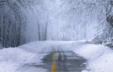 В Курской области 9 января ожидаются снег, дождь и до +5 градусов