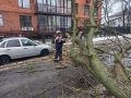Дерево рухнуло на опору ЛЭП и повалило ее на припаркованный автомобиль