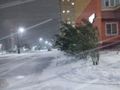 124 ������� ������������ ������ � ������ � ���������