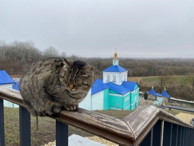 До начала новой рабочей недели осталось совсем немного времени