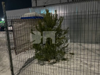 � ������ �� ��������� ������ ��������� ����� ������ ���� � ����� � ����