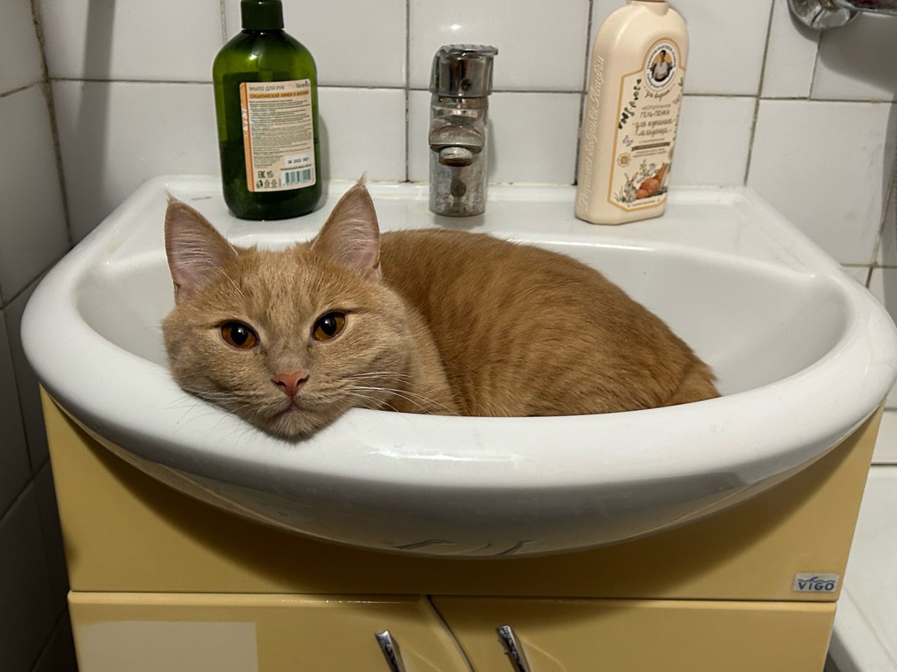 В Курске произошла авария на сетях водоснабжения в районе дома №16Г по улице Магистральной