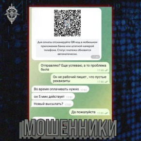 В курской полиции рассказали, как распознать мошенников при оплате по СБП