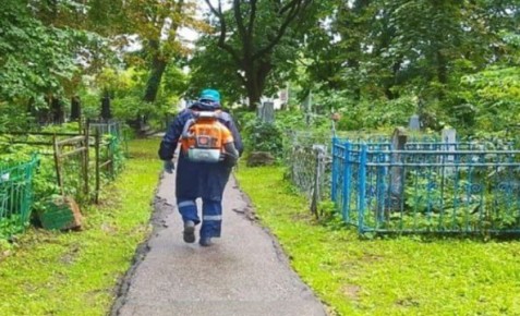 � ������ ������� ����� ��������������� ��������� ������� �� 2025 ���