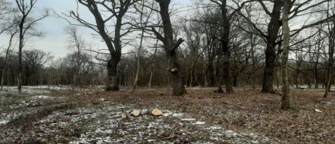 � ������ ��������� 1 ��� ������ �� ������ ������ � �����