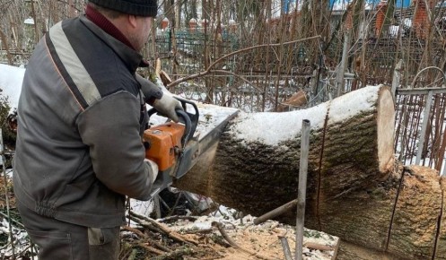 � ������ �� 2025 ��� ������� � ������� 10 �������