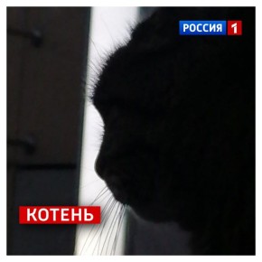 11 ������, �����������. ����, ����� ������ �������