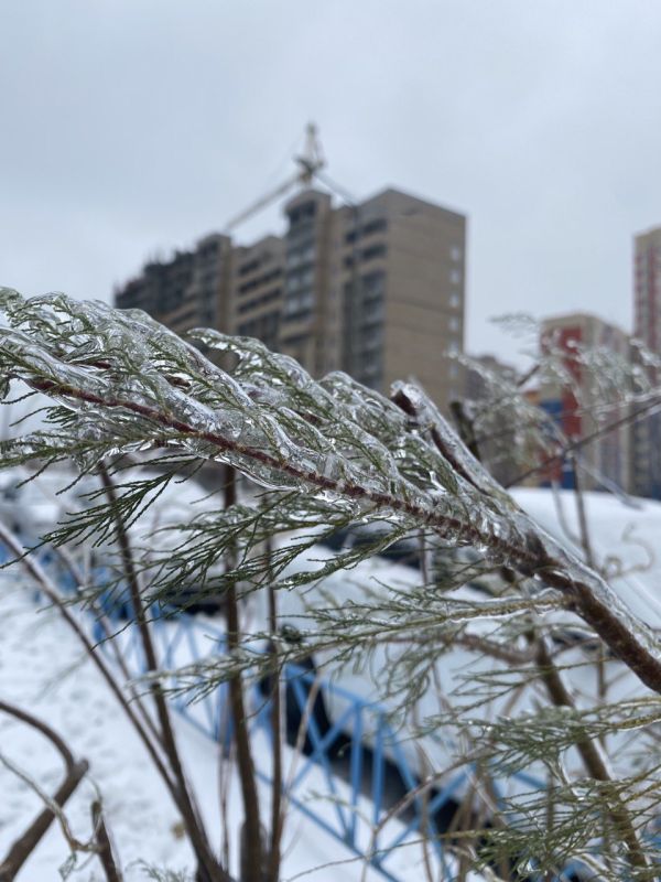 � ������� ������� � ��������� ��� ����������� �������� ������