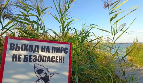 � ������� ������� �������� ��������� ��������� ����� ���������������� �������������