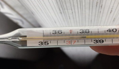 Заболеваемость ОРВИ и гриппом в Курской области снизилась вдвое за праздники