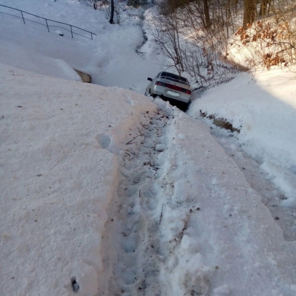 В Курской области вылетел с трассы автомобиль
