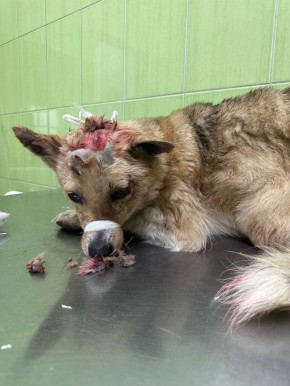 ��� ������� ����������� ����������� ����� � ��������� �� � ������