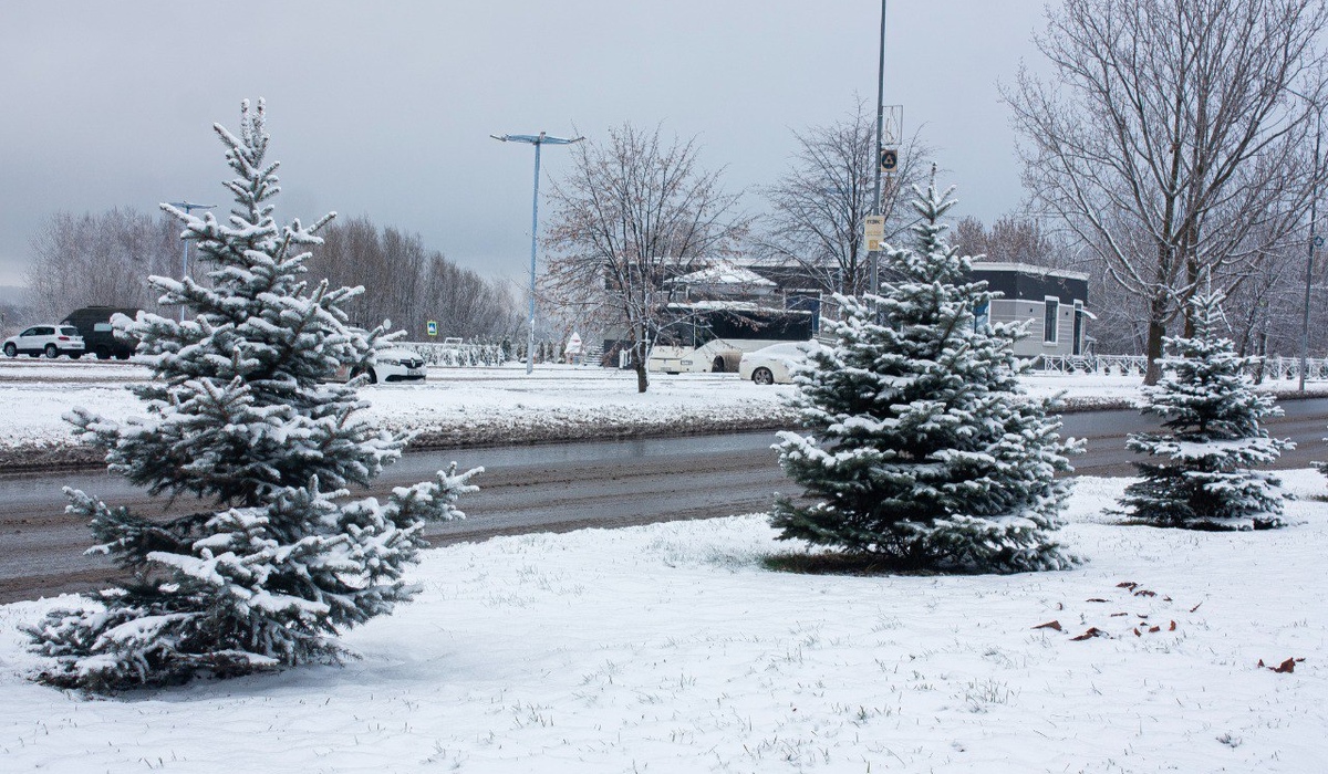 В Курской области 14 января ожидаются 22-градусные морозы