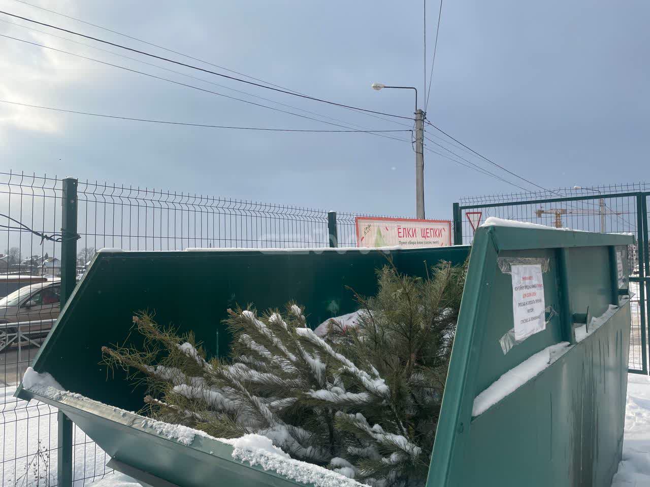 В Курске работают пункты сбора новогодних деревьев «Ёлки-щепки»