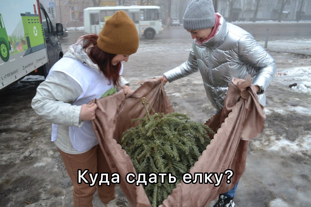18 января состоится акция "Ёлки-Щепки" от Экотакси