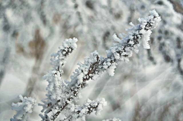 Доброе утро, Пристенский район!