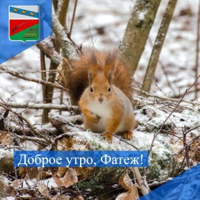 ДОБРОЕ УТРО. Среда – экватор рабочей недели