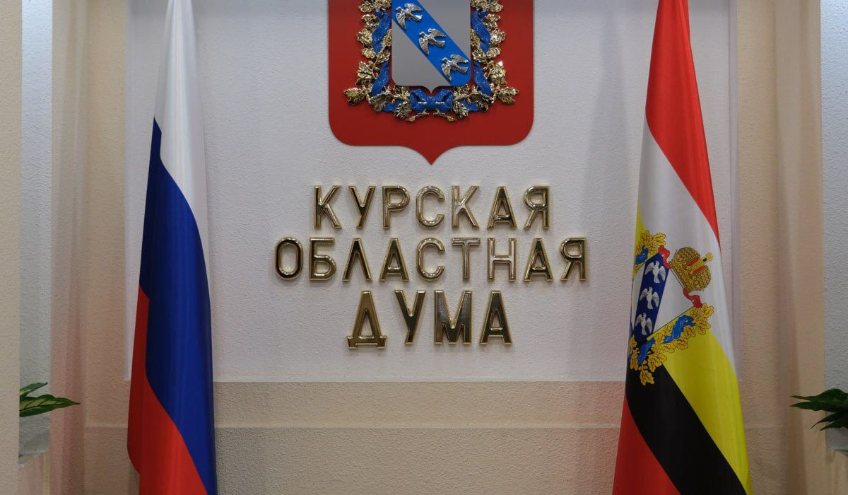 Курские депутаты предлагают штрафы за нарушения в интернете