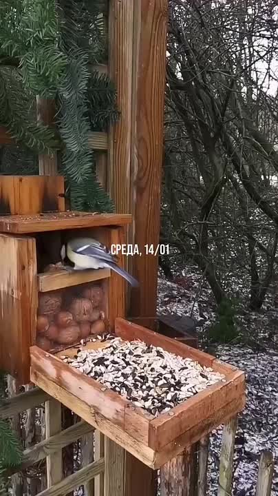 Доброе зимнее утро, дорогие щигровцы!