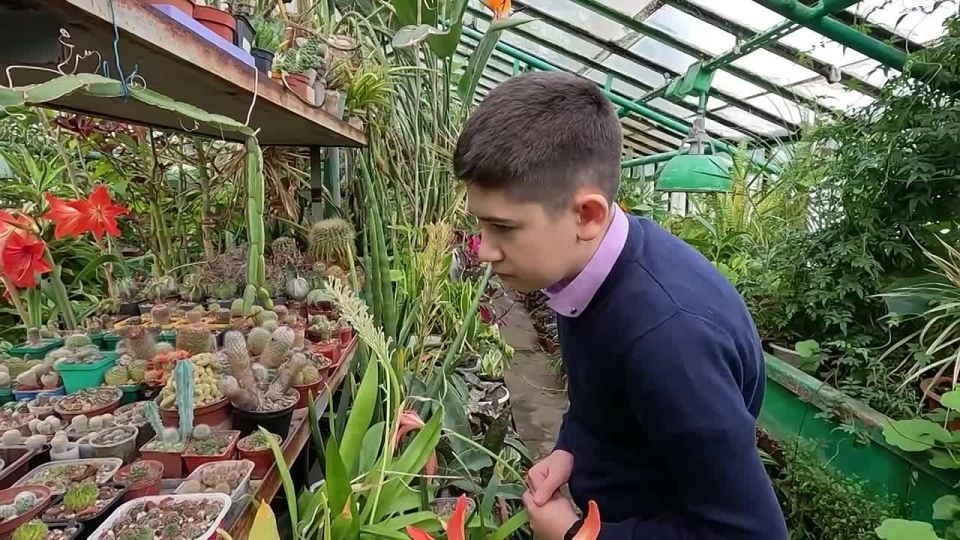 1234 ������� � ������ ����