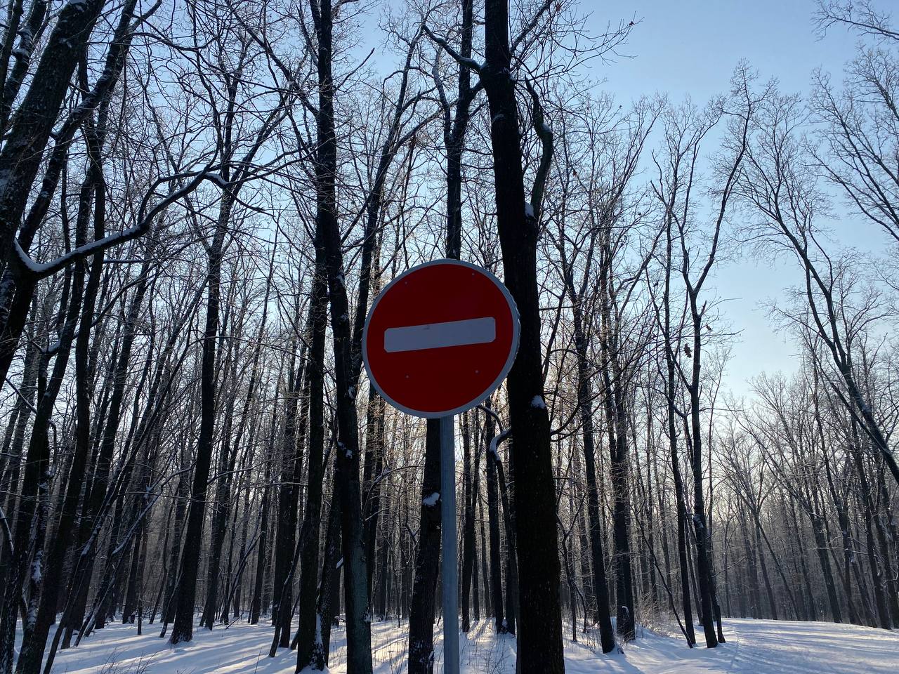 На пересечении Энтузиастов и Студенческой перекрыли проезд