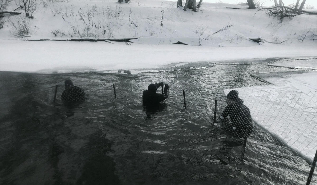 В Курской области оборудовали купели в местечке Свобода в Коренной пустыни