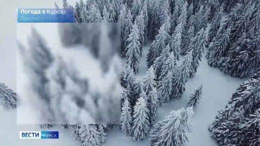 �� 17 ������. ����� ������ | �������� | MAX