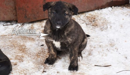 � ������ ���� ��� ��� ��������� �������� ������� �� ������ ������������